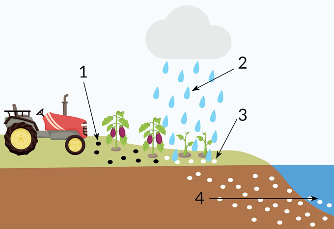 An illustration of showing the cycle of rock dust cycle